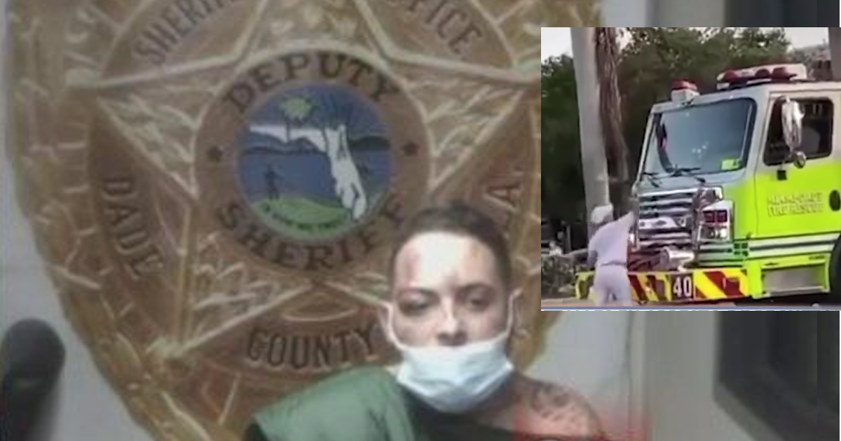miami dade detienen a chucho flash tras atacar un cami n miami dade detienen a chucho flash tras atacar un cami n