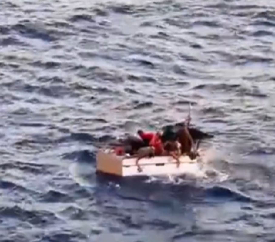 6 balseros cubanos rescatados por crucero